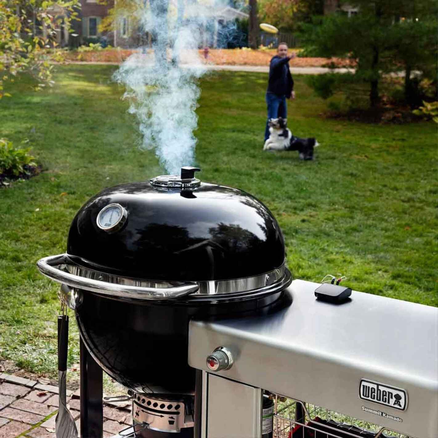 Barbecue Kamado Summit S6 - Weber – Image 10