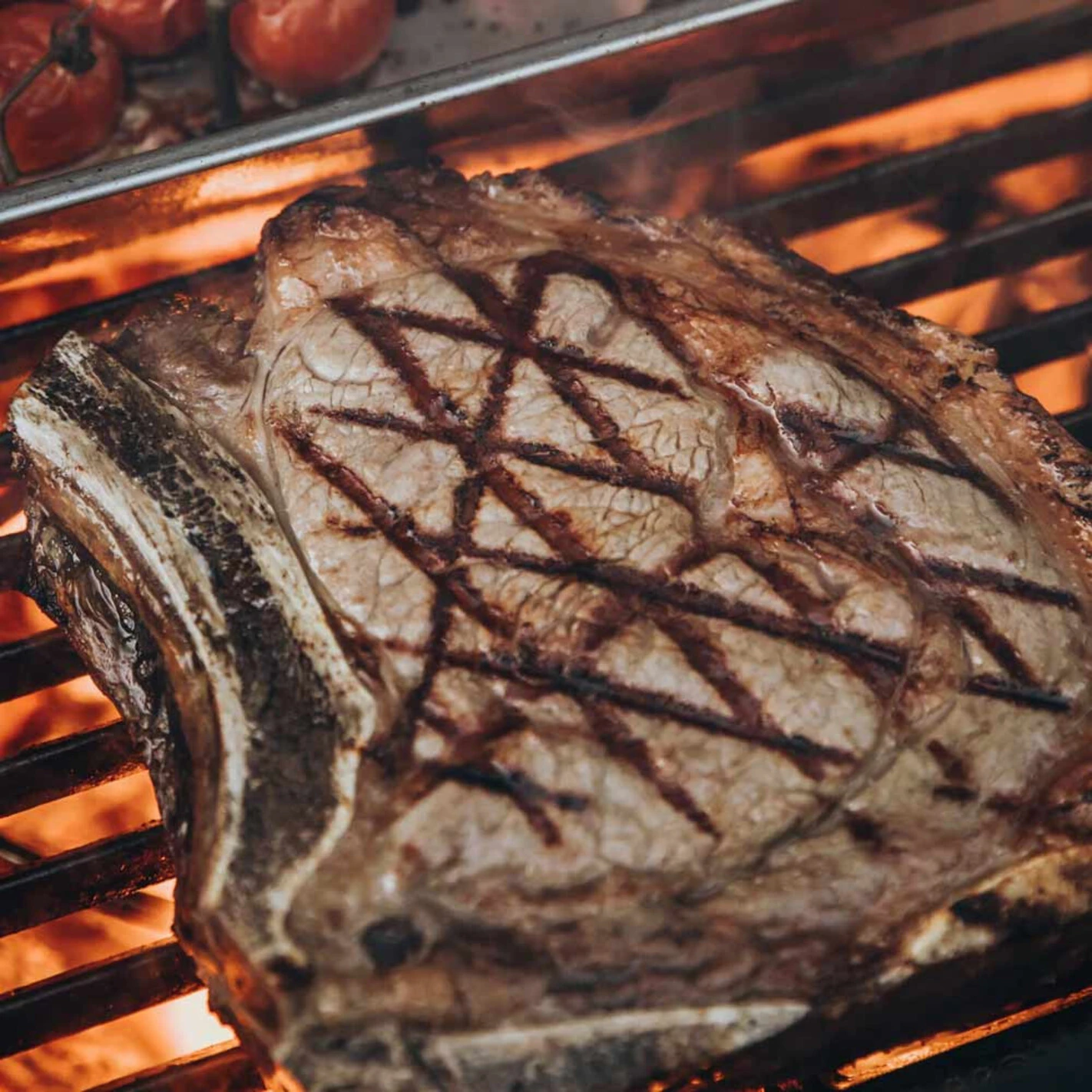 Demi Grille Fonte CLASSIC - Monolith* – Image 4