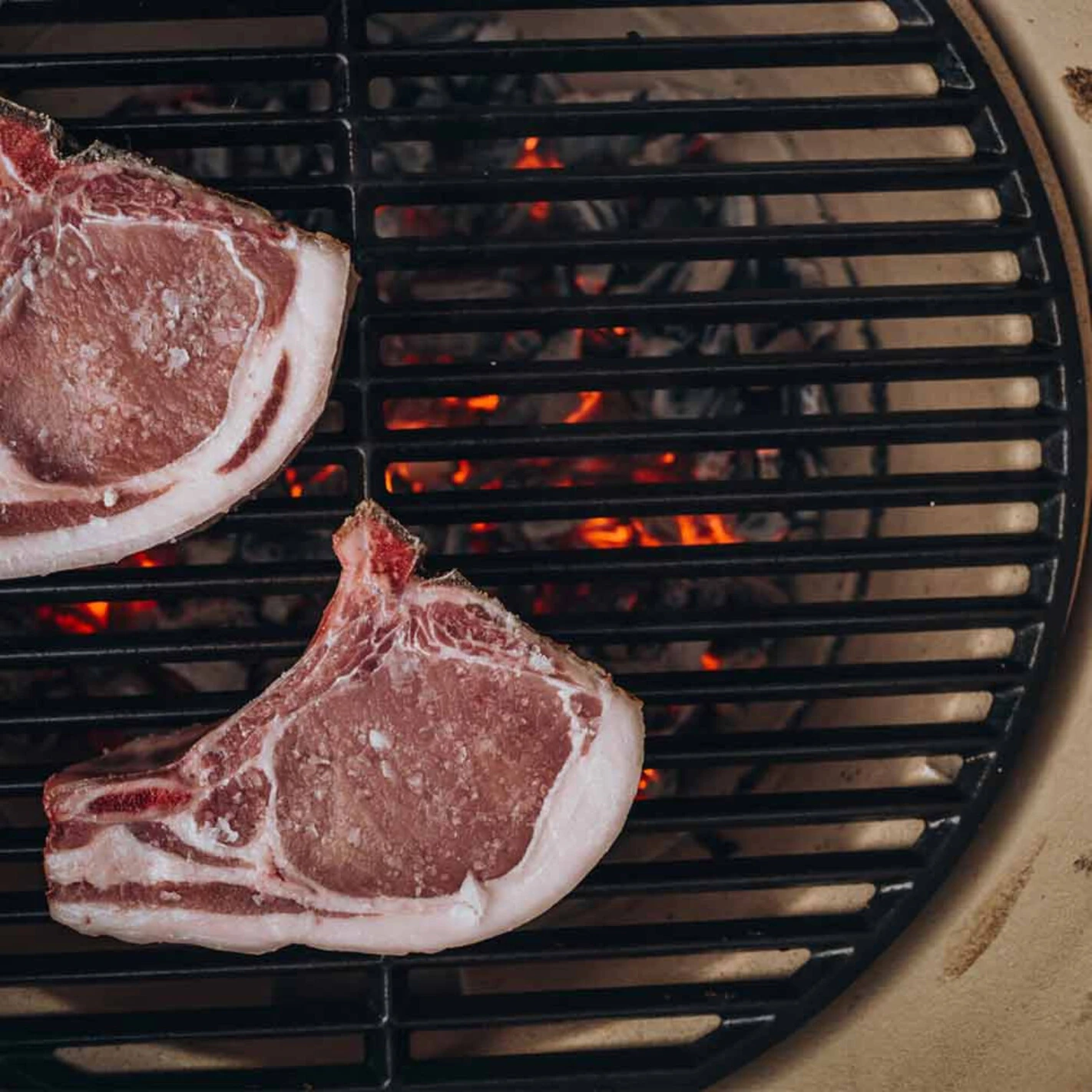 Grille En Fonte Pour Barbecue JUNIOR - Monolith* – Image 4